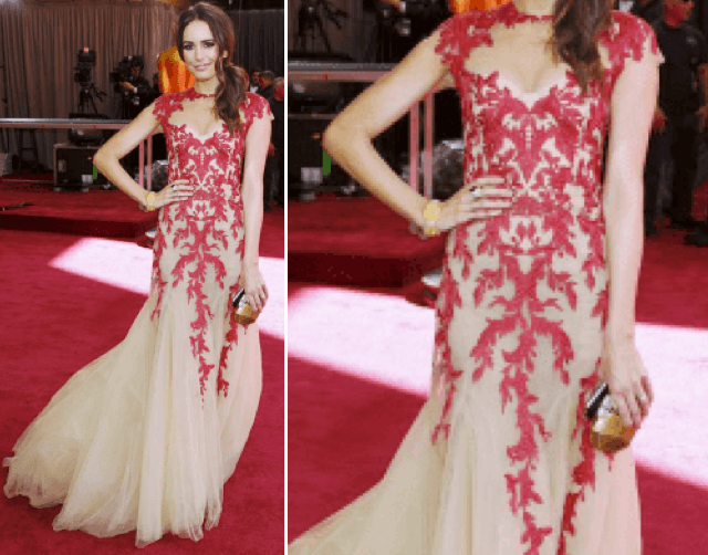 Vestido Oscar 2013 – Louise Roe de Monique Lhuillier Vestido de Festa Fernanda Viegas alta-costura
